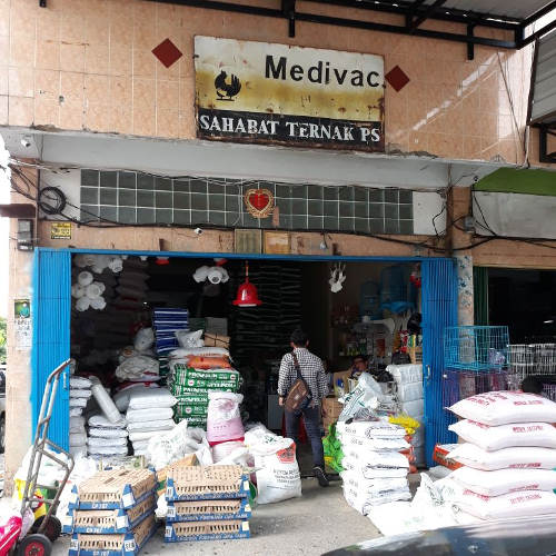 Sahabat Ternak: Teman Setia Peternak Cilacap